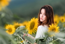 胎菊和茶叶能否一起泡饮？